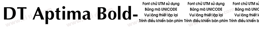 DT Aptima Bold字体转换